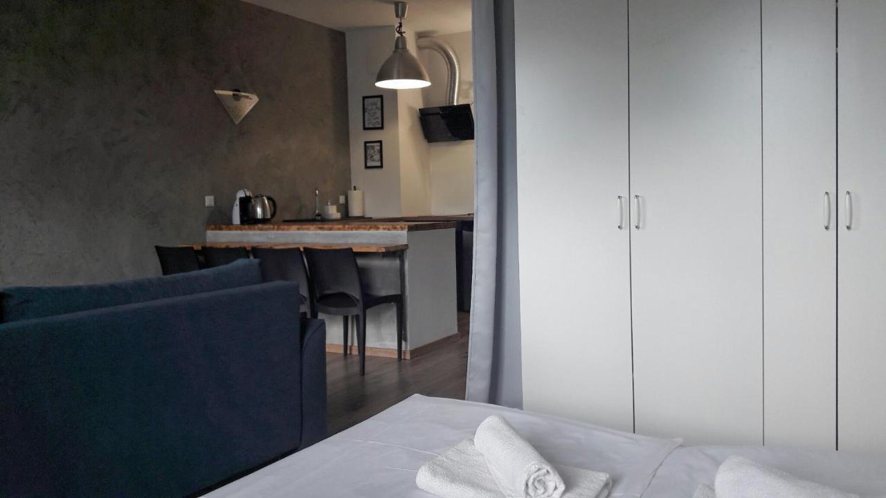 Silver Apartment In Wilanow Warsaw Exterior photo